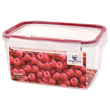 2750ml Food Container Model 1289